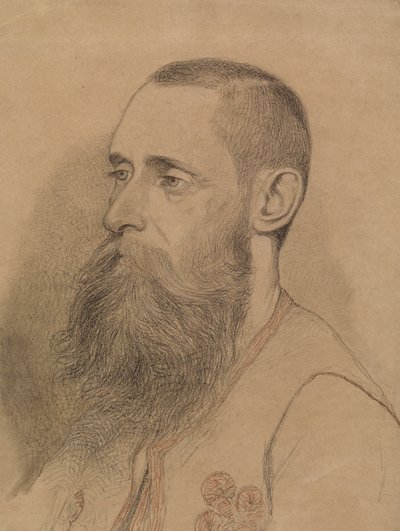 Ritratto di uomo barbuto da Severin Falkman
