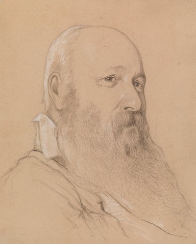 Ritratto di uomo barbuto da Severin Falkman
