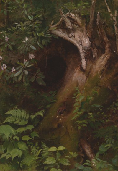 Lo scoiattolo da Seymour Joseph Guy