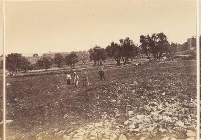 Veduta generale della città ecc. dal nord da Sgt. James M. McDonald