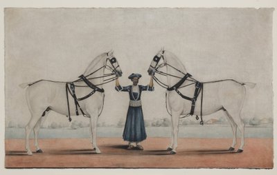 Un Syce (stalliere) che tiene due cavalli da carrozza, c.1845 da Shaik Muhammad Amir of Karraya (attr. to)