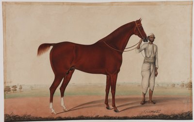 Un cavallo e un groom, c.1840 da Shaik Muhammad Amir of Karraya