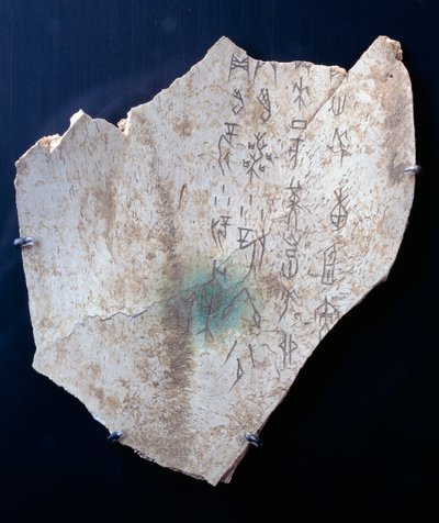 Pittogramma su scapola di bue con rituale per scongiurare il pericolo (osso) da Shang Dynasty Chinese School