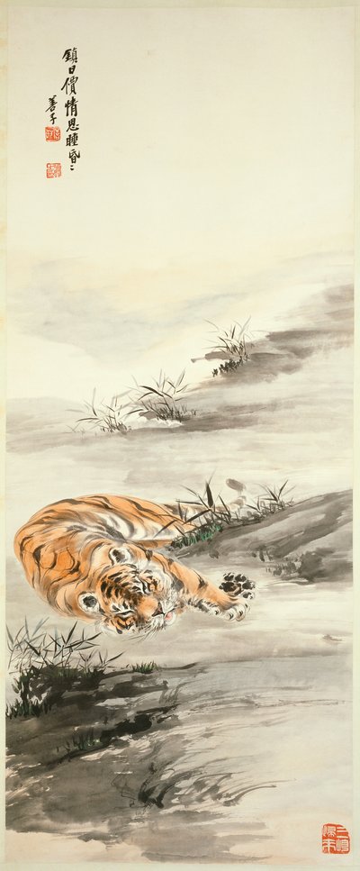 Tigre da Shanzi Zhang