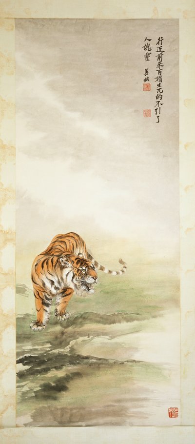 Tigre da Shanzi Zhang