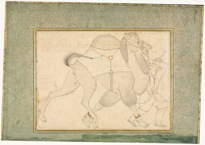 Cammello e Stalliere, Illustrazione a Pagina Singola, c. 1545-1576 da Shaykh Muhammad