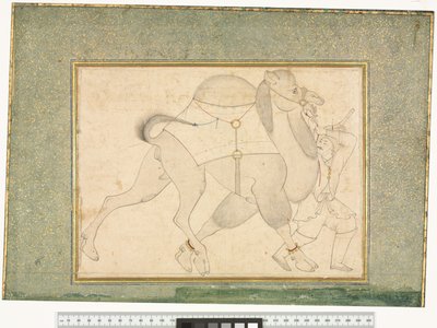 Cammello e groom, c.1545-76 da Shaykh Muhammad