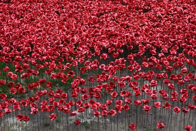 Blood Swept Lands and Seas of Red, Torre di Londra da Sheldon Marshall