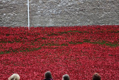 Blood Swept Lands and Seas of Red, Torre di Londra da Sheldon Marshall