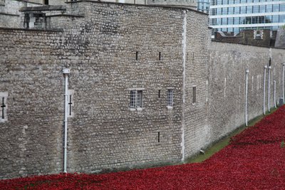 Terre e mari di sangue, Torre di Londra da Sheldon Marshall
