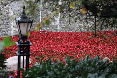 Terre e mari di sangue, Torre di Londra da Sheldon Marshall