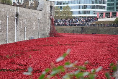 Terre e mari di sangue, Torre di Londra, 2014 da Sheldon Marshall