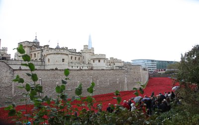 Blood Swept Lands and Seas of Red, Torre di Londra, 2014 da Sheldon Marshall