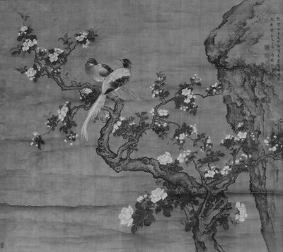 Melo in fiore e coppia di uccelli, datato 1744 da Shen Nanpin