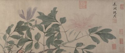 Fiori delle quattro stagioni da Shen Zhou