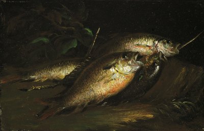 Pesce, 1842 da Shepard Alonzo Mount