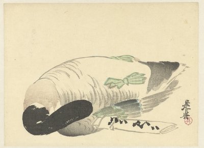 Anatra morta accanto a una lettera piegata da Shibata Zeshin