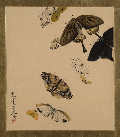 Dipinti di lacca di vari soggetti: Farfalle, datato 1881 da Shibata Zeshin