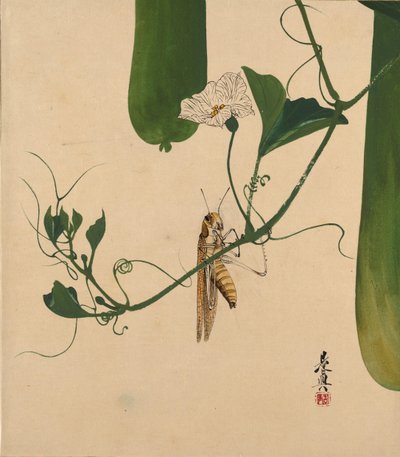 Dipinti di lacca di vari soggetti: cavalletta su vite di zucca, 1882 da Shibata Zeshin