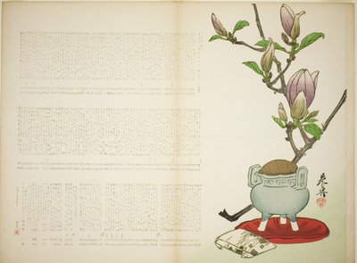 Surimono commemorativo da Shibata Zeshin