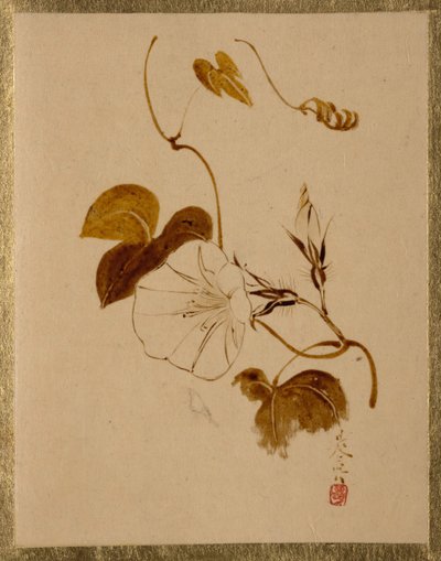 Gloria mattutina da Shibata Zeshin
