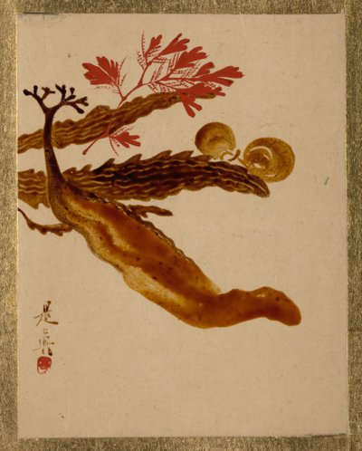 Alghe da Shibata Zeshin