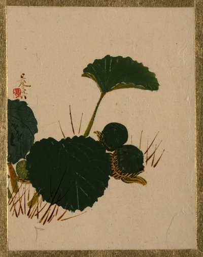 Verme su pianta a foglie verdi da Shibata Zeshin