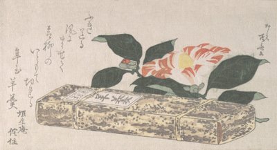 Fiore di Camelia e Yokan un Tipo di Gelatina di Fagioli Avvolta in Pelle di Bambù da Shinsai