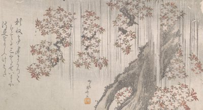 Fiori di ciliegio nella pioggia, XIX secolo da Shinsai