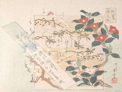 Disegni di carta da scrittura con fiori da Shinsai