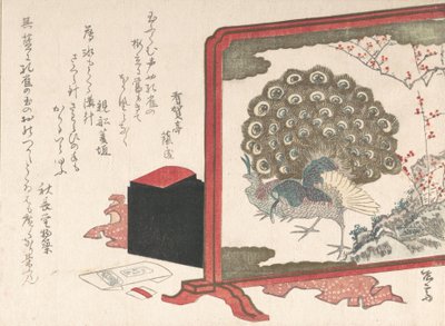 Schermo e scatola da lavoro da donna da Shinsai