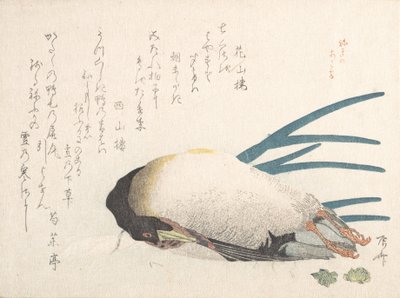 Collezione di pioggia primaverile Harusame shu, vol. 1: Anatra e scalogni da Shinsai