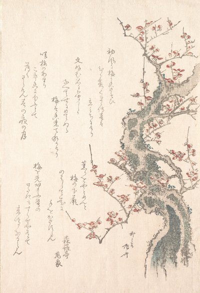 Collezione di pioggia primaverile, vol. 1: Albero di prugna in fiore da Shinsai