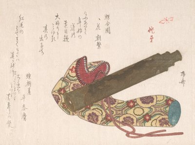 Telescopio con la sua Borsa da Shinsai