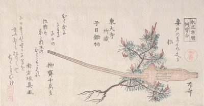 Giovane pino e il manico di un aratro da Shinsai