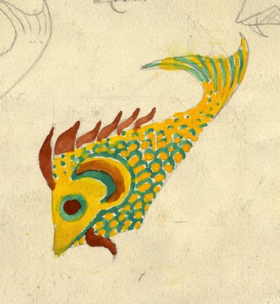 Illustrazione di Pesce da Shirley Markham
