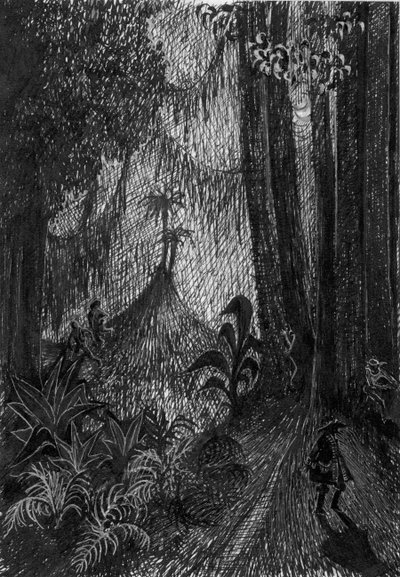 Pirata nella foresta pluviale da Shirley Markham