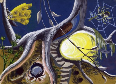 Calderone della strega e ragnatela, c1950 da Shirley Markham
