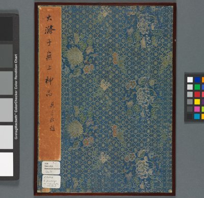 Ricordi del fiume Qinhuai, Dinastia Qing da Shitao Daoji