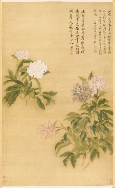 Peonie da Shouping Yun