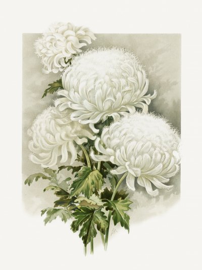 Signora Alpheus Hardy da Sidney Thomas Callowhill