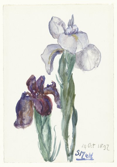 Iris da Sientje Mesdag van Houten