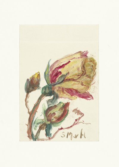 Rosa da Sientje Mesdag van Houten