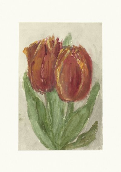 Due tulipani rossi da Sientje Mesdag van Houten