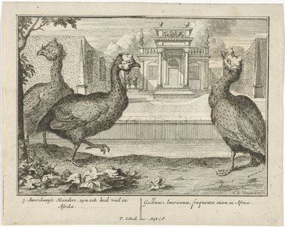 Faraone da Sieuwert van der Meulen