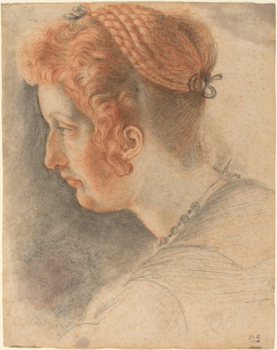 Testa di Donna di Profilo da Sigismondo Coccapani