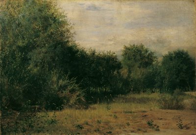 Studio di paesaggio da Sigmund L