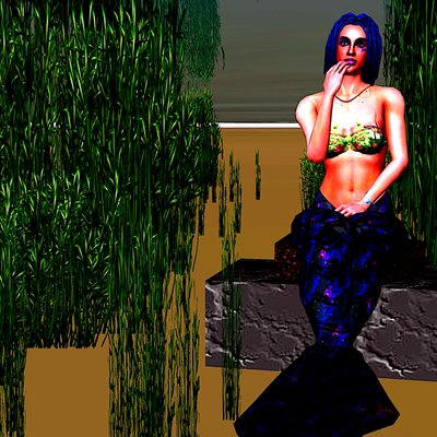 Nixe nascosta: Canto delle sirene digitale da Silvia Martini