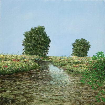 BBB-Albero-Ruscello-Immagine da Silvian Sternhagel