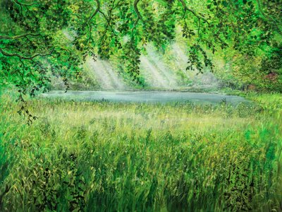 Ombrello naturale da Silvian Sternhagel